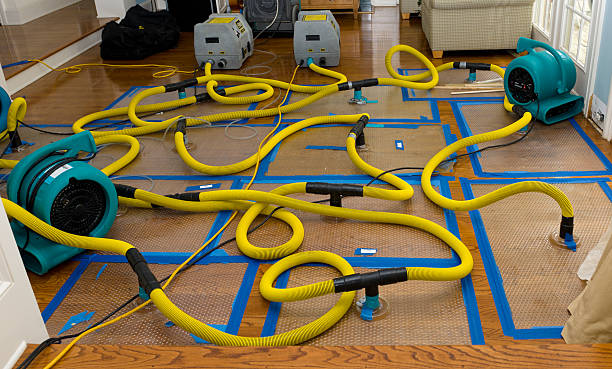 Professional Flood Damage Restoration technician working in Canby, MN